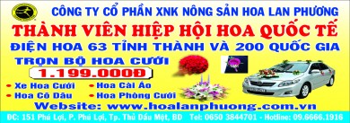 Shop Hoa Lan Hồ Điệp Phường Phú Cường